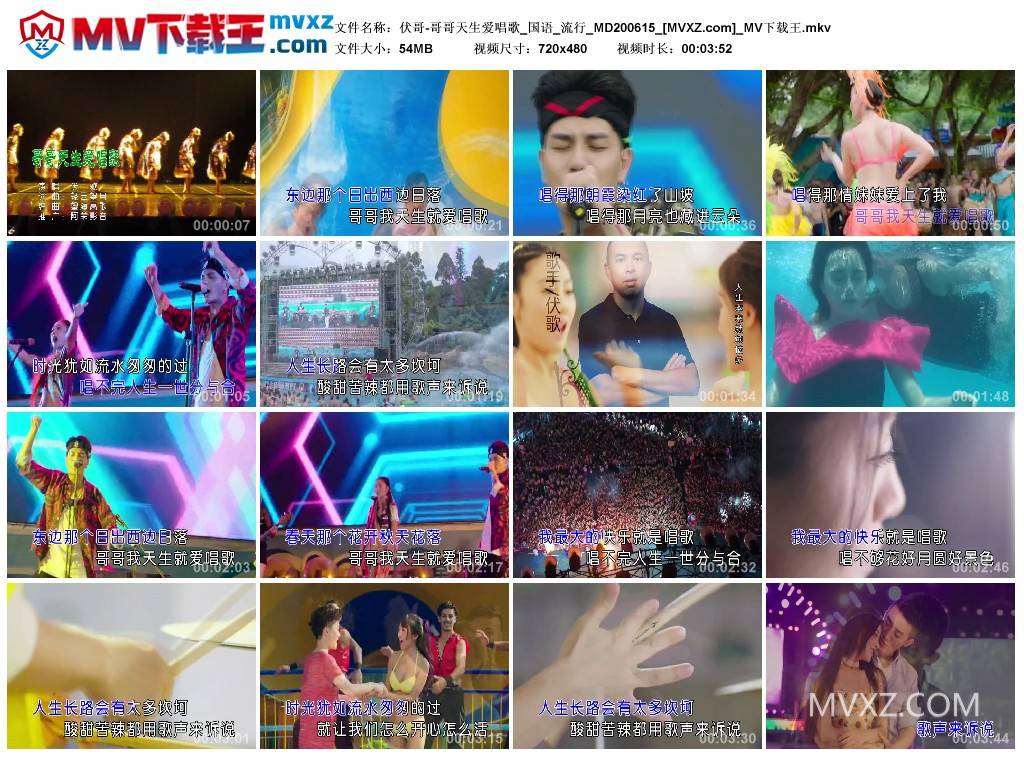 伏哥-哥哥天生爱唱歌_国语_流行_MD200615